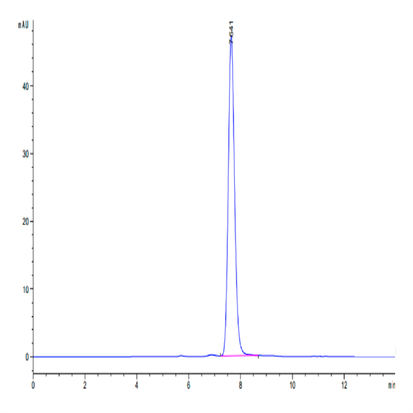 Cynomolgus GDF15 Protein (GDF-CM215)