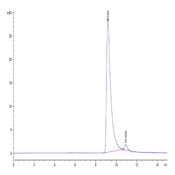 Human GDNF Protein (GDF-HE001)