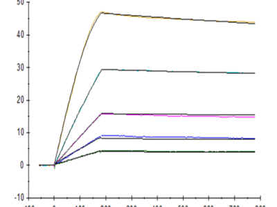 Human GDF15 Protein (GDF-HE115)