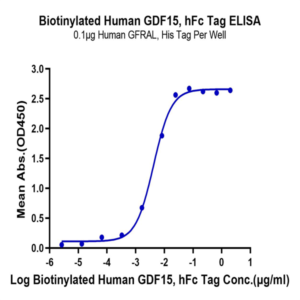 Biotinylated Human GDF15 Protein (Primary Amine Labeling) (GDF-HM215B)