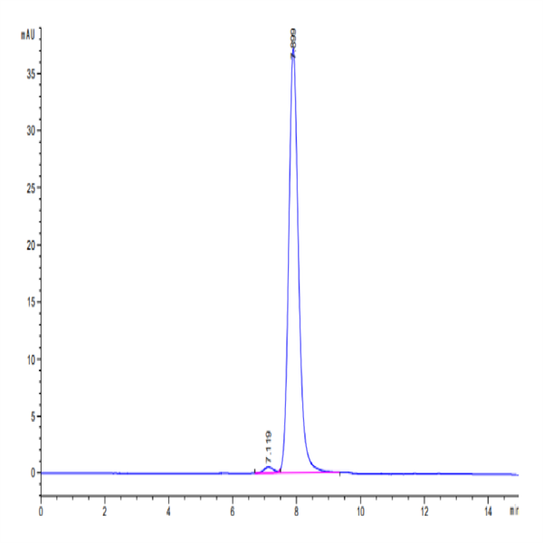 Biotinylated Human GDF15 Protein (Primary Amine Labeling) (GDF-HM215B)