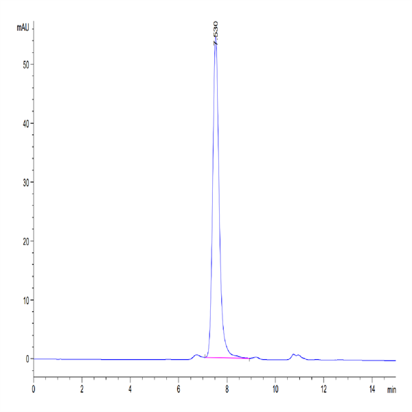 Mouse GDF15 Protein (GDF-MM215)