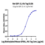 Rat GDF15 Protein (GDF-RE115)