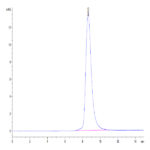 Mouse GEP Protein (GEP-MM101)