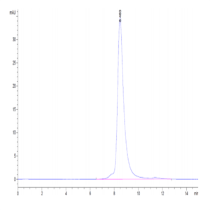 Biotinylated Cynomolgus GFRAL/GFR alpha-like Protein (GFL-CM401B)