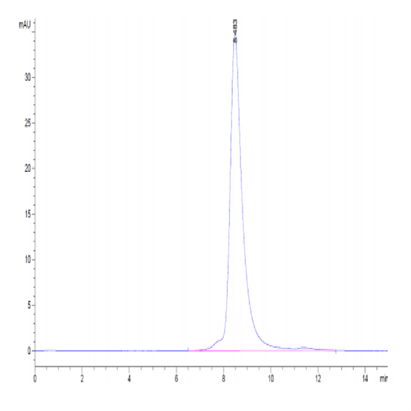 Biotinylated Cynomolgus GFRAL/GFR alpha-like Protein (GFL-CM401B)