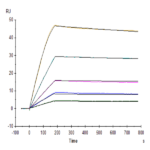 Human GFRAL/GFR alpha-like Protein (GFL-HM201)