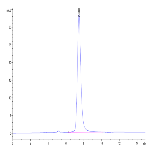 Human GFRAL/GFR alpha-like Protein (GFL-HM201)