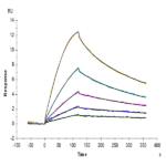 Mouse GFRAL/GFR alpha-like Protein (GFL-MM401)