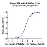 Human GFR alpha 1 Protein (GFR-HM11A)