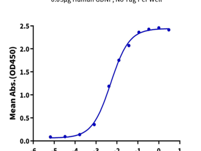 Human GFR alpha 1 Protein (GFR-HM11A)