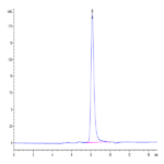 Human GFR alpha 1 Protein (GFR-HM11A)