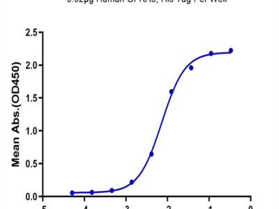 Human GFRA3 Protein (GFR-HM1A3)