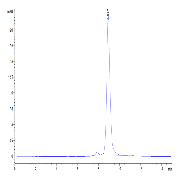 Human GFRA3 Protein (GFR-HM1A3)