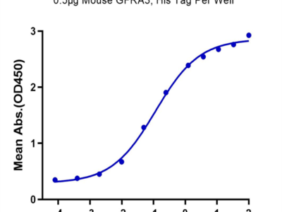 Mouse GFRA3 Protein (GFR-MM1A3)