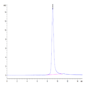 Mouse GFRA3 Protein (GFR-MM1A3)