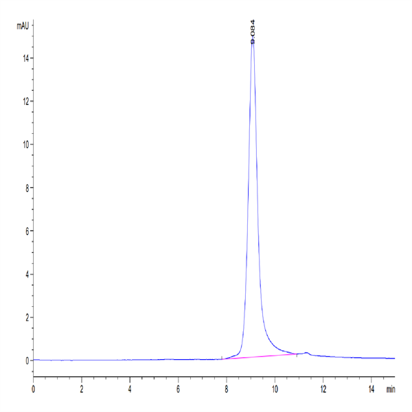 Mouse GFRA3 Protein (GFR-MM1A3)