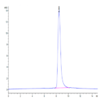 Human GGT1 Protein (GGT-HM101)