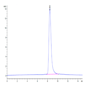 Human GGT1 Protein (GGT-HM101)