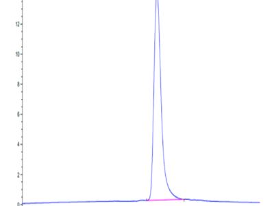 Human GGT1 Protein (GGT-HM101)