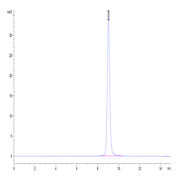 Human GIP Protein (GIP-HM101)