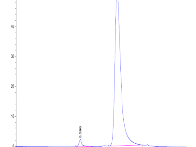 Mouse GIP Protein (GIP-MM201)