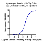 Cynomolgus Galectin 3 Protein (GLT-CM103)