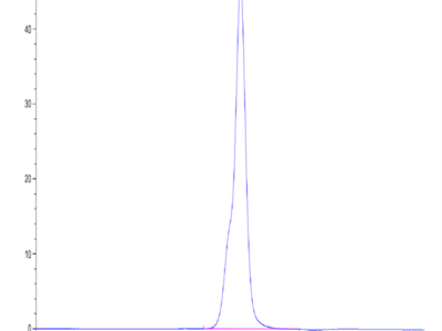 Human Osteoactivin/GPNMB Protein (GNB-HM101)