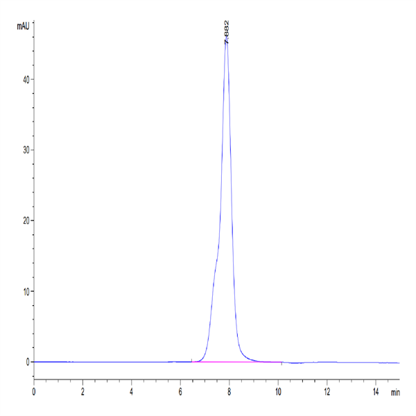 Human Osteoactivin/GPNMB Protein (GNB-HM101) Human Osteoactivin/GPNMB Protein (GNB-HM101)