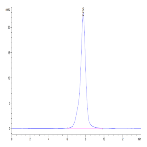 Mouse Osteoactivin/GPNMB Protein (GNB-MM101)