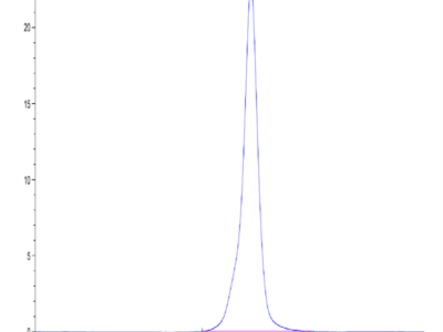 Mouse Osteoactivin/GPNMB Protein (GNB-MM101)