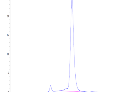 Human GP1BB Protein (GP1-HM2BB)