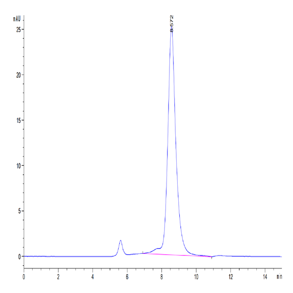 Human GP1BB Protein (GP1-HM2BB) Human GP1BB Protein (GP1-HM2BB)
