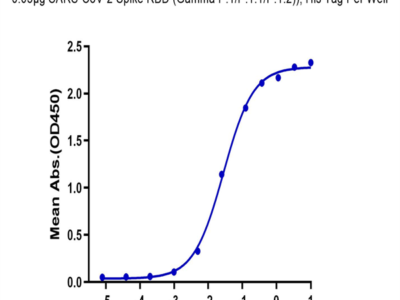 SARS-CoV-2 Spike RBD (Gamma P.1/P.1.1/P.1.2) Protein (GP1-VM1BD)