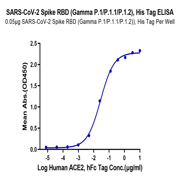 SARS-CoV-2 Spike RBD (Gamma P.1/P.1.1/P.1.2) Protein (GP1-VM1BD) SARS-CoV-2 Spike RBD (Gamma P.1/P.1.1/P.1.2) Protein (GP1-VM1BD)