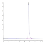 SARS-CoV-2 Spike RBD (Gamma P.1/P.1.1/P.1.2) Protein (GP1-VM1BD)