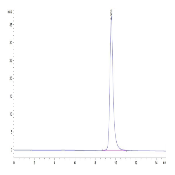 SARS-CoV-2 Spike RBD (Gamma P.1/P.1.1/P.1.2) Protein (GP1-VM1BD)