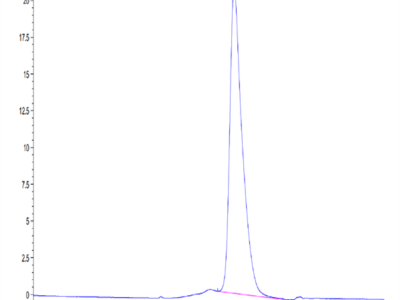 Mouse GPVI Protein (GP6-MM101)