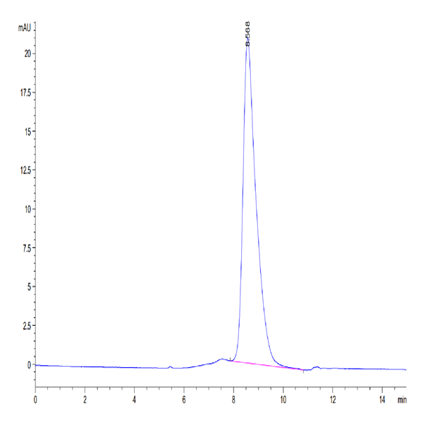 Mouse GPVI Protein (GP6-MM101) Mouse GPVI Protein (GP6-MM101)