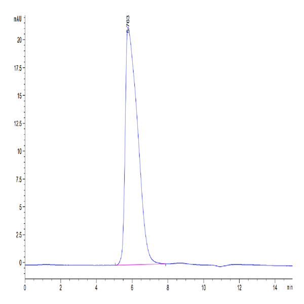 Human CD42a/GP9 Protein (GP9-HM209) Human CD42a/GP9 Protein (GP9-HM209)