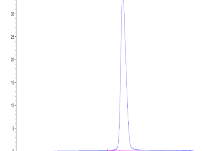 Human GPA34/VSIG1 Protein (GPA-HM134)