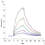 Human GPA Protein (GPA-HM201)