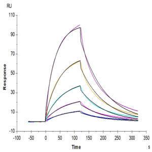 Human GPA Protein (GPA-HM201)