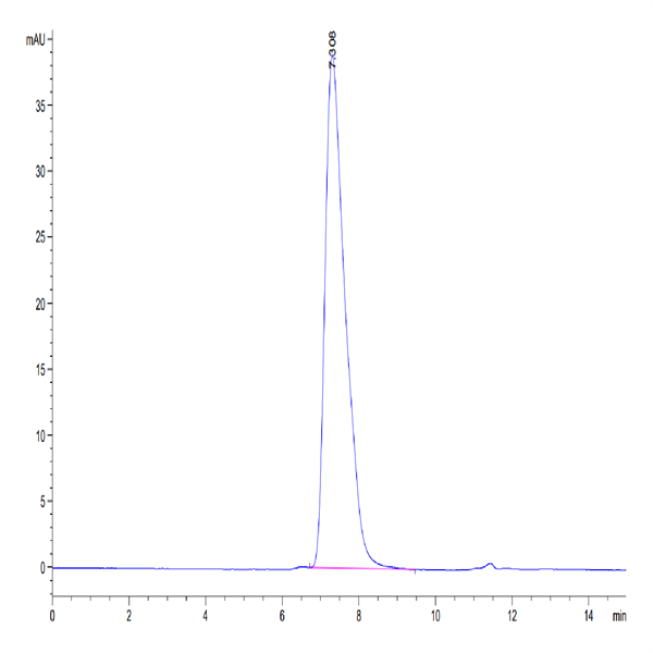 Human GPA Protein (GPA-HM201)