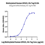 Biotinylated Human GPA33/A33 Protein (GPA-HM433B)