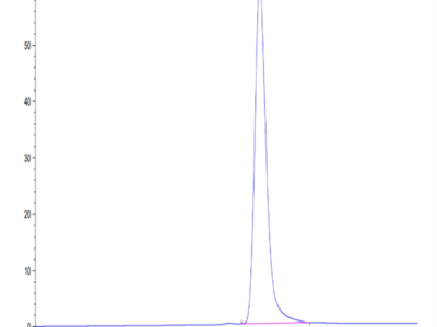 Mouse GPA33/A33 Protein (GPA-MM133)