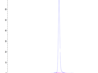 Mouse GPA34/VSIG1 Protein (GPA-MM134)