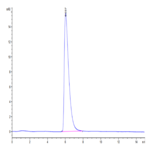 Cynomolgus GPC3/Glypican 3 Protein (GPC-CM131)