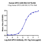 Human GPC3 (438-554) Protein-VLP (GPC-HM003)