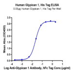 Human Glypican 1/GPC1 Protein (GPC-HM111)